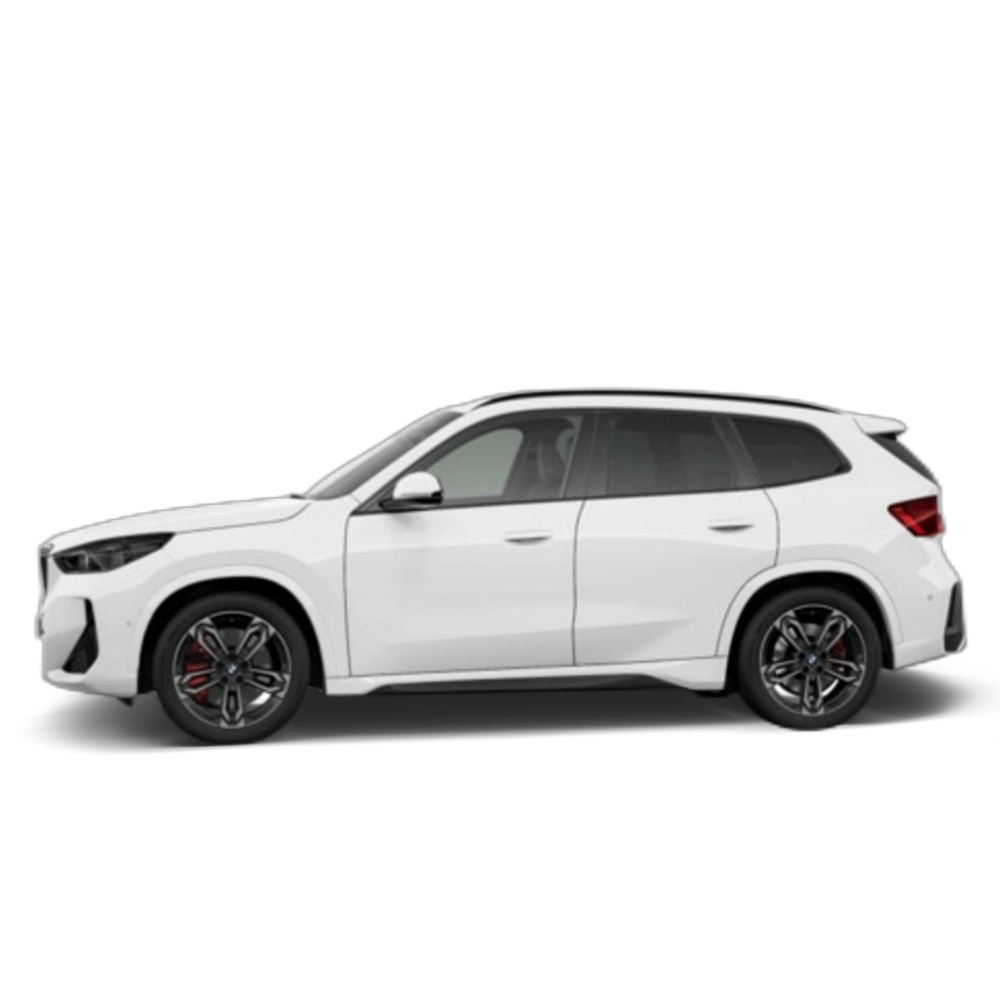 Renting BMW X1 sDrive20d 120 kW (163 CV) 27 10