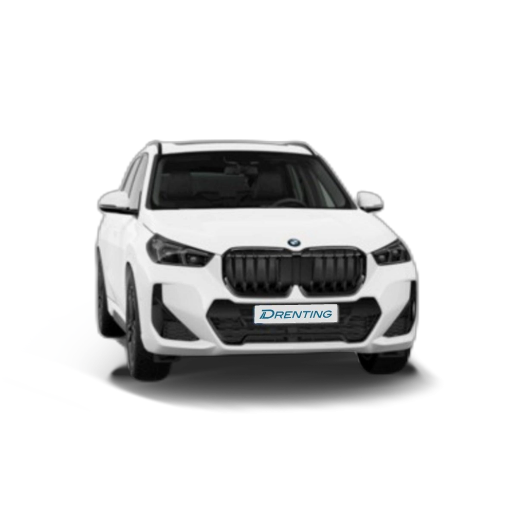Renting BMW X1 sDrive20d 120 kW (163 CV) 27 10