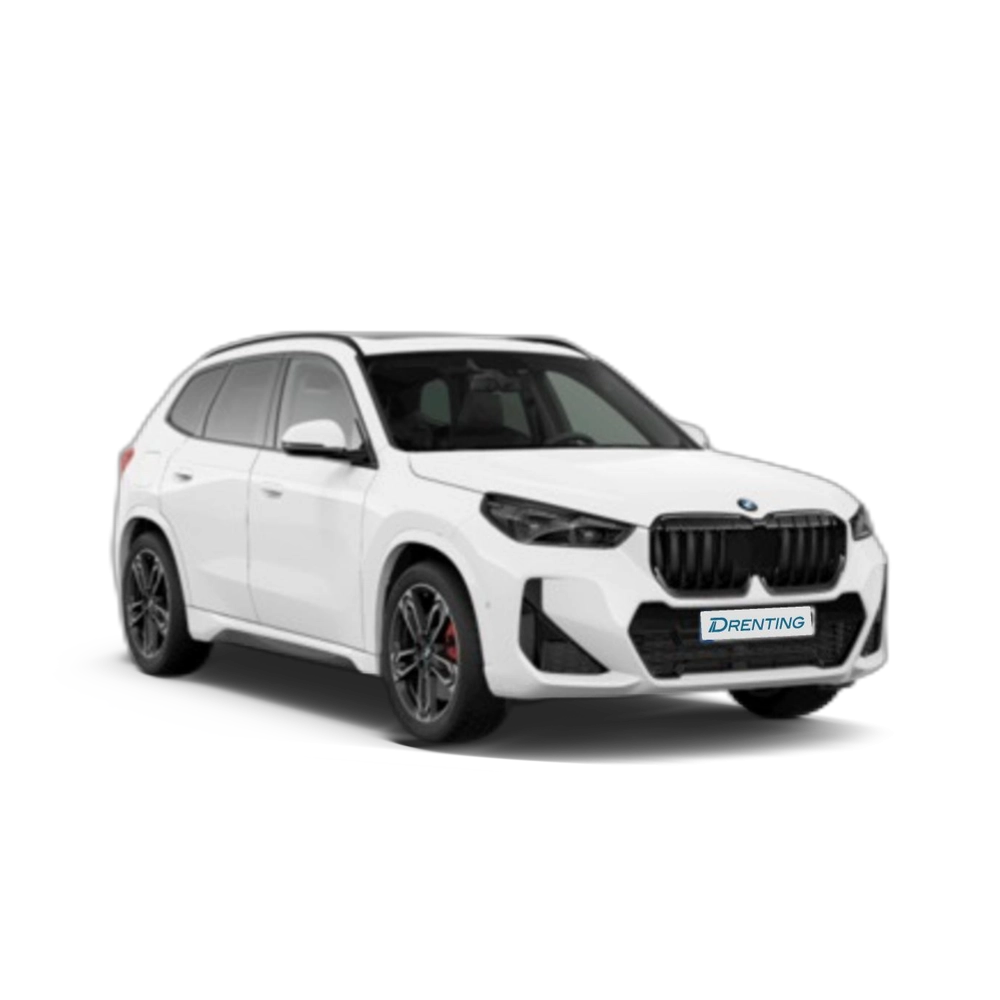 Renting BMW X1 sDrive20d 120 kW (163 CV) 27 10