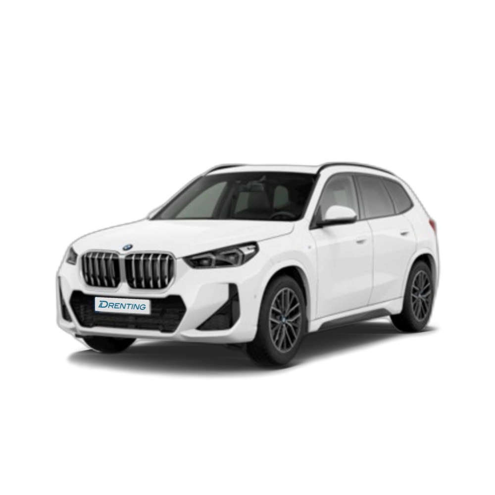 BMW X1 sDrive20d 120 kW (163 CV) 27 15
