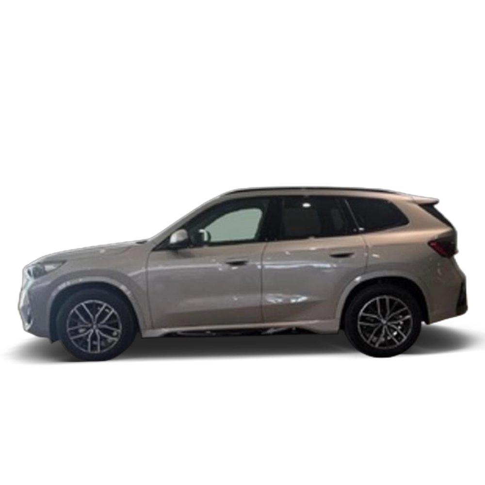 Renting BMW X1 sDrive20d 120 kW (163 CV) 27 16