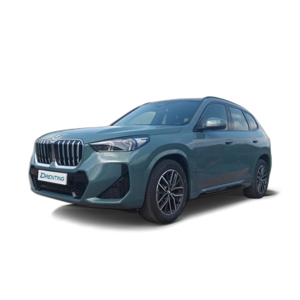 Renting BMW X1 sDrive20d 120 kW (163 CV) 27 22
