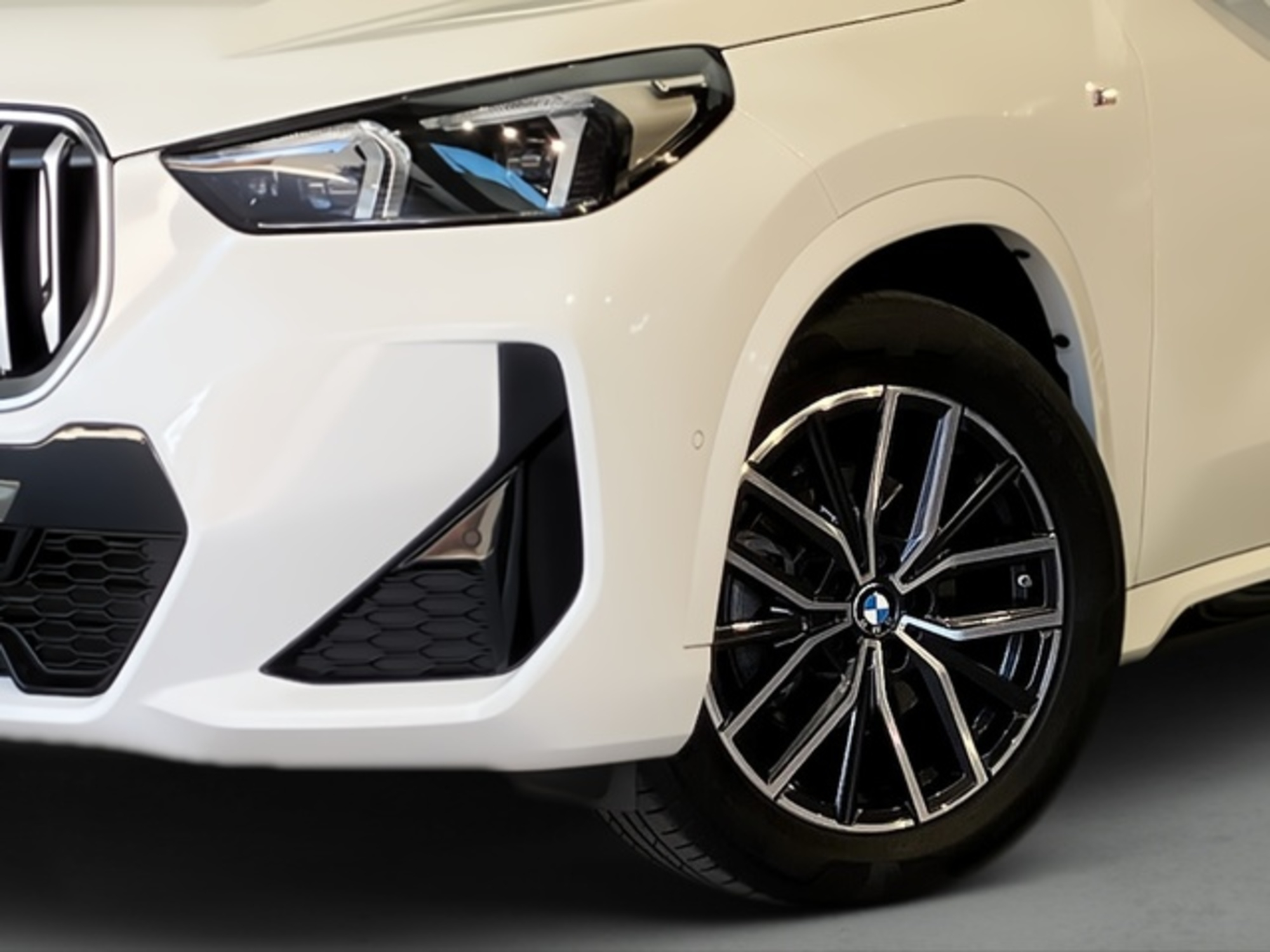 Renting BMW X1 sDrive20d 120 kW (163 CV) 7 11