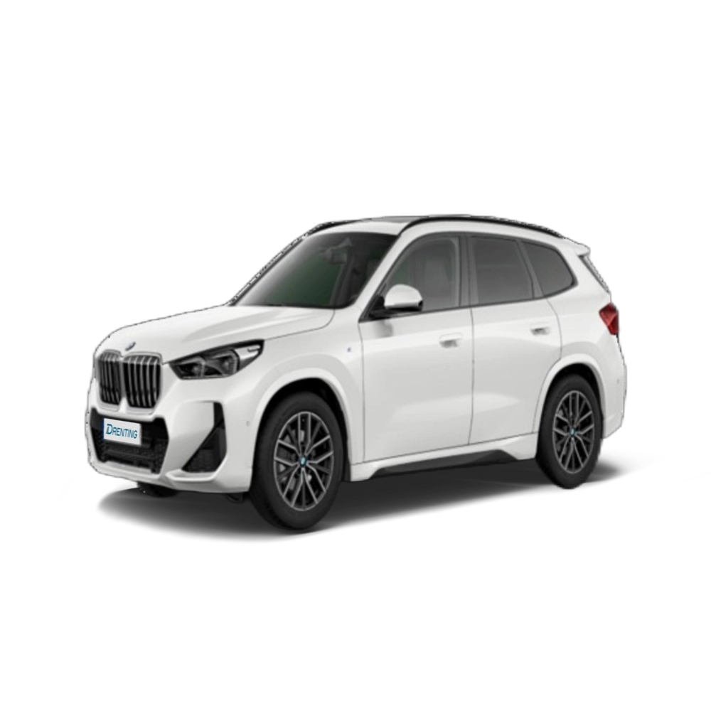 Renting BMW X1 sDrive20i 125 kW (170 CV) 2