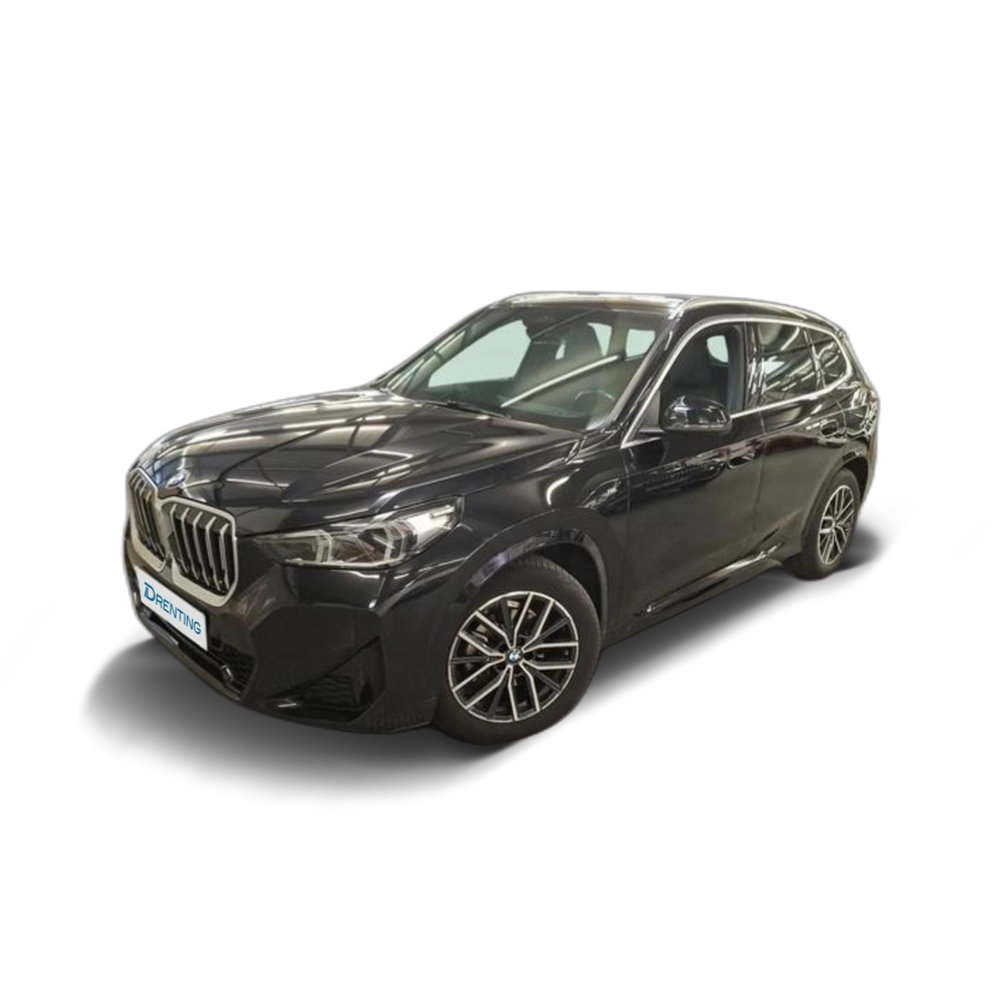 BMW X1 xDrive20d 120 kW (163 CV) 14 4