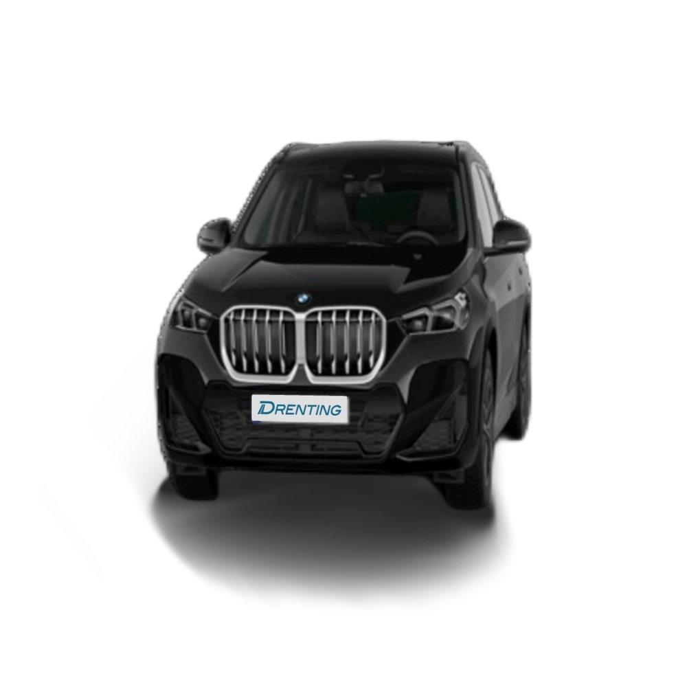 Renting BMW X1 xDrive20d 120 kW (163 CV) 15