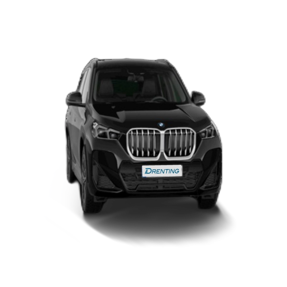 Renting BMW X1 xDrive20d 120 kW (163 CV) 15