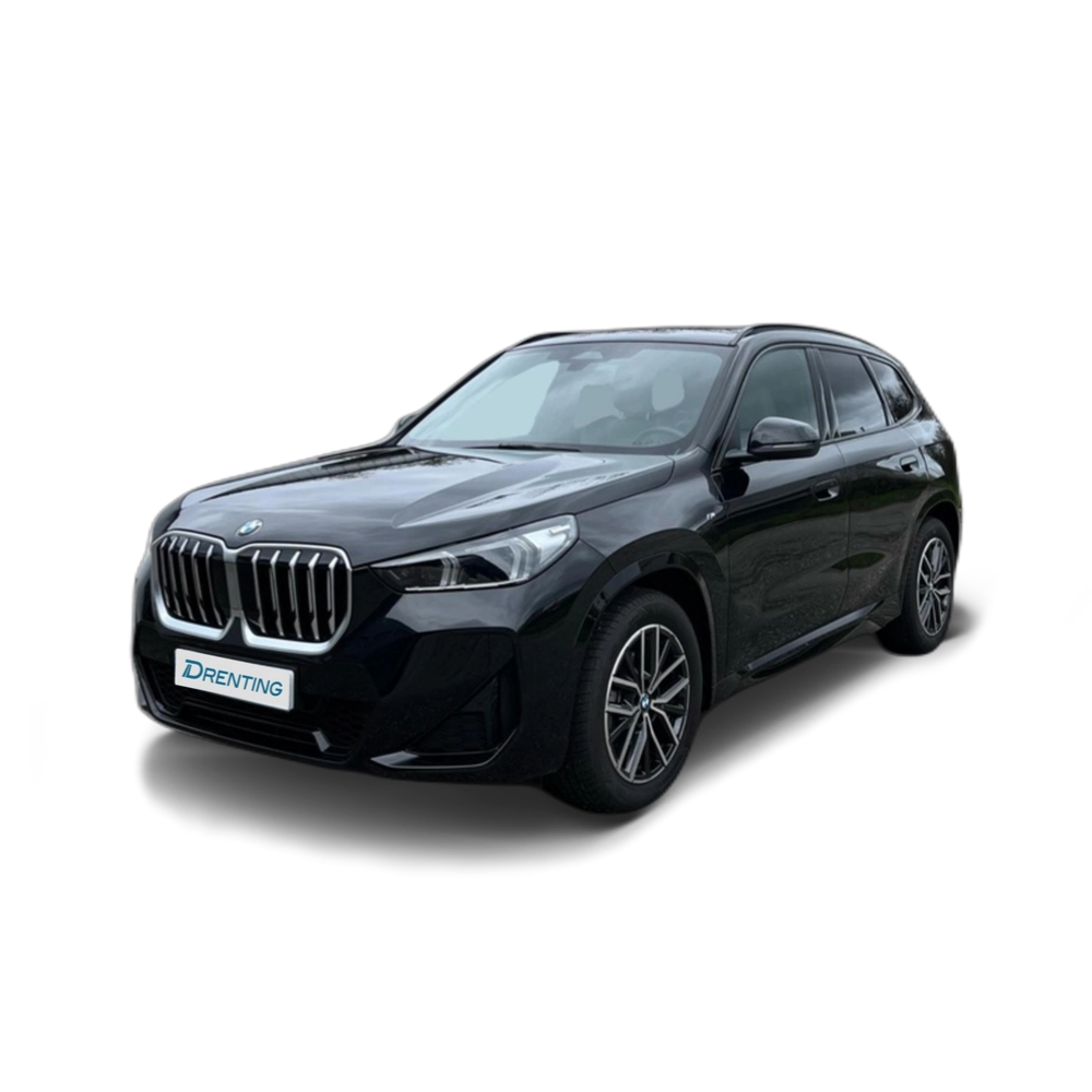 BMW X1 xDrive20d 120 kW (163 CV) 16