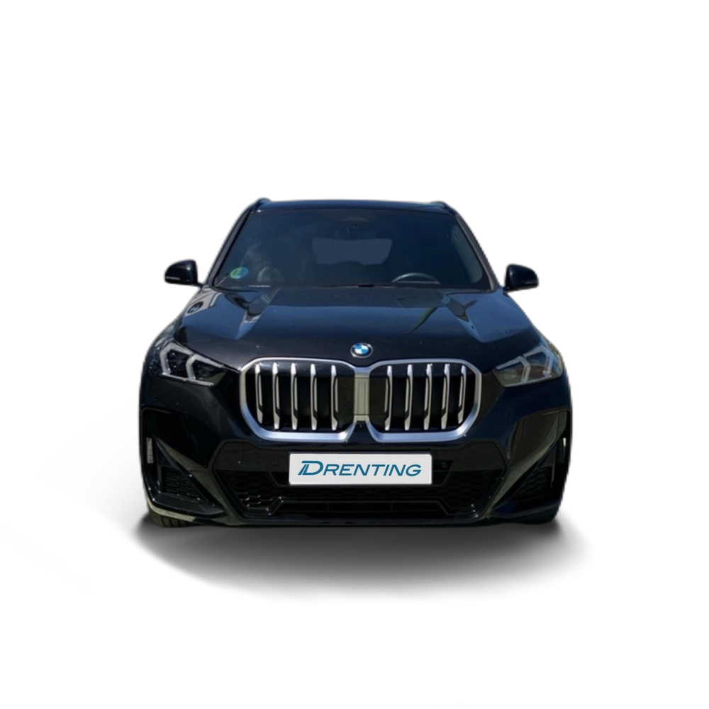 Renting BMW X1 xDrive20d 120 kW (163 CV) 19