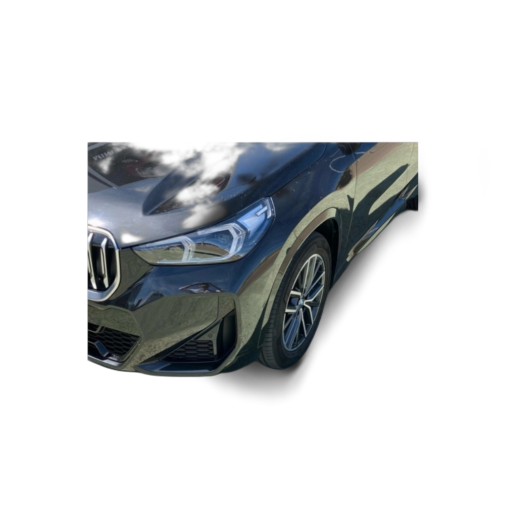 Renting BMW X1 xDrive20d 120 kW (163 CV) 19