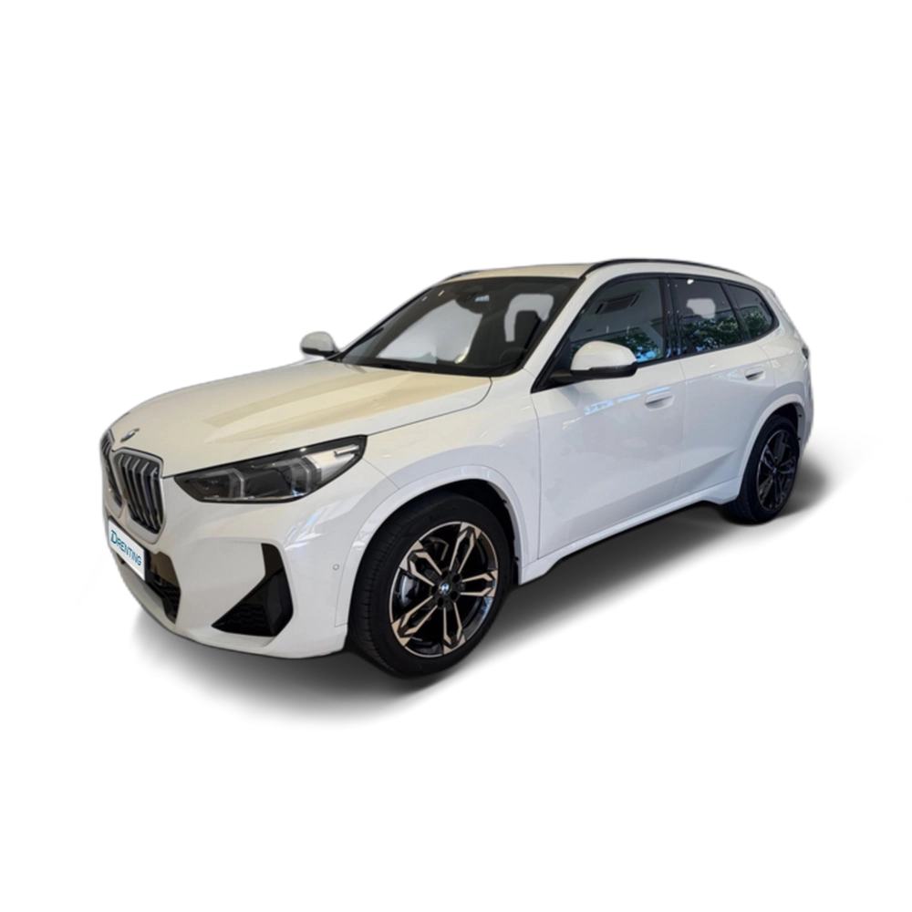 BMW X1 xDrive20d 120 kW (163 CV) 9