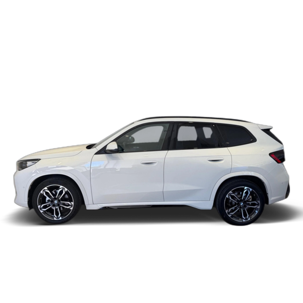 Renting BMW X1 xDrive20d 120 kW (163 CV) 9