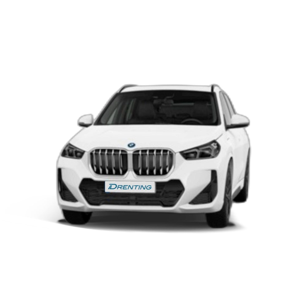Renting BMW X1 xDrive25e 180 kW (245 CV) 10