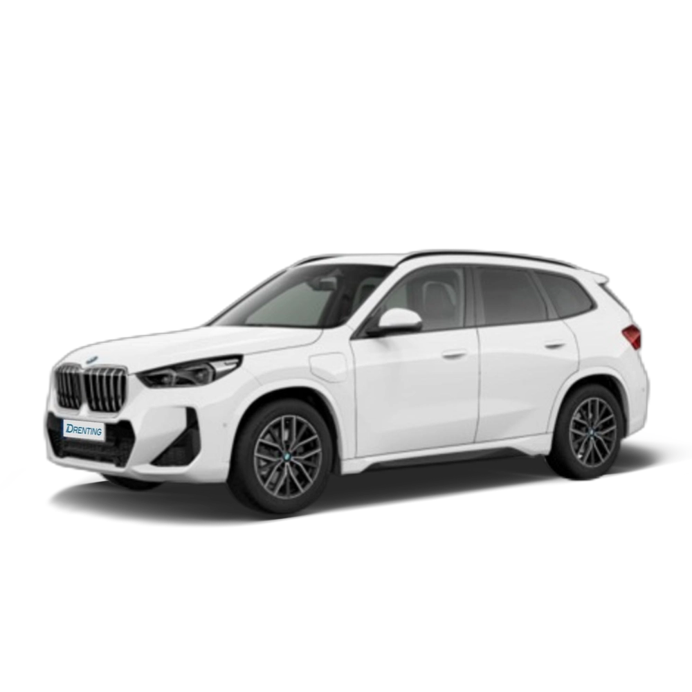 BMW X1 xDrive25e 180 kW (245 CV) 10