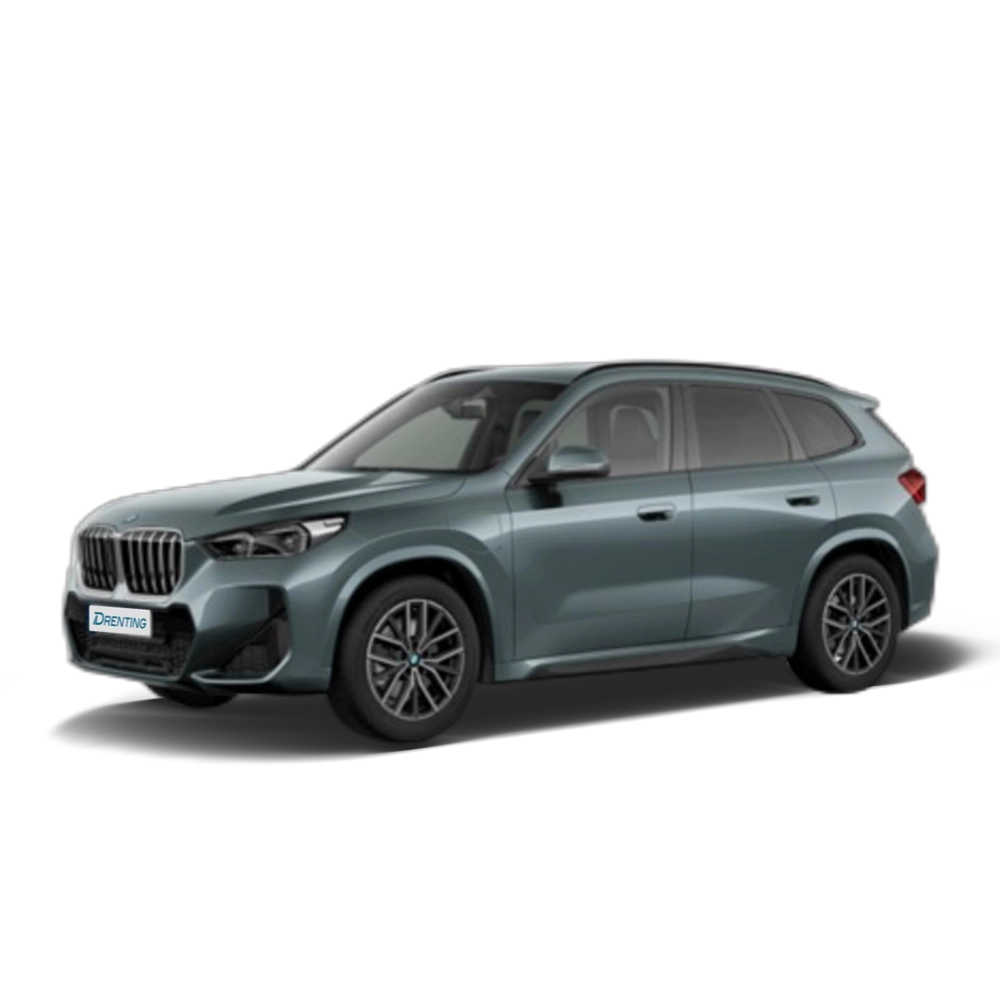Renting BMW X1 xDrive25e 180 kW (245 CV) 10