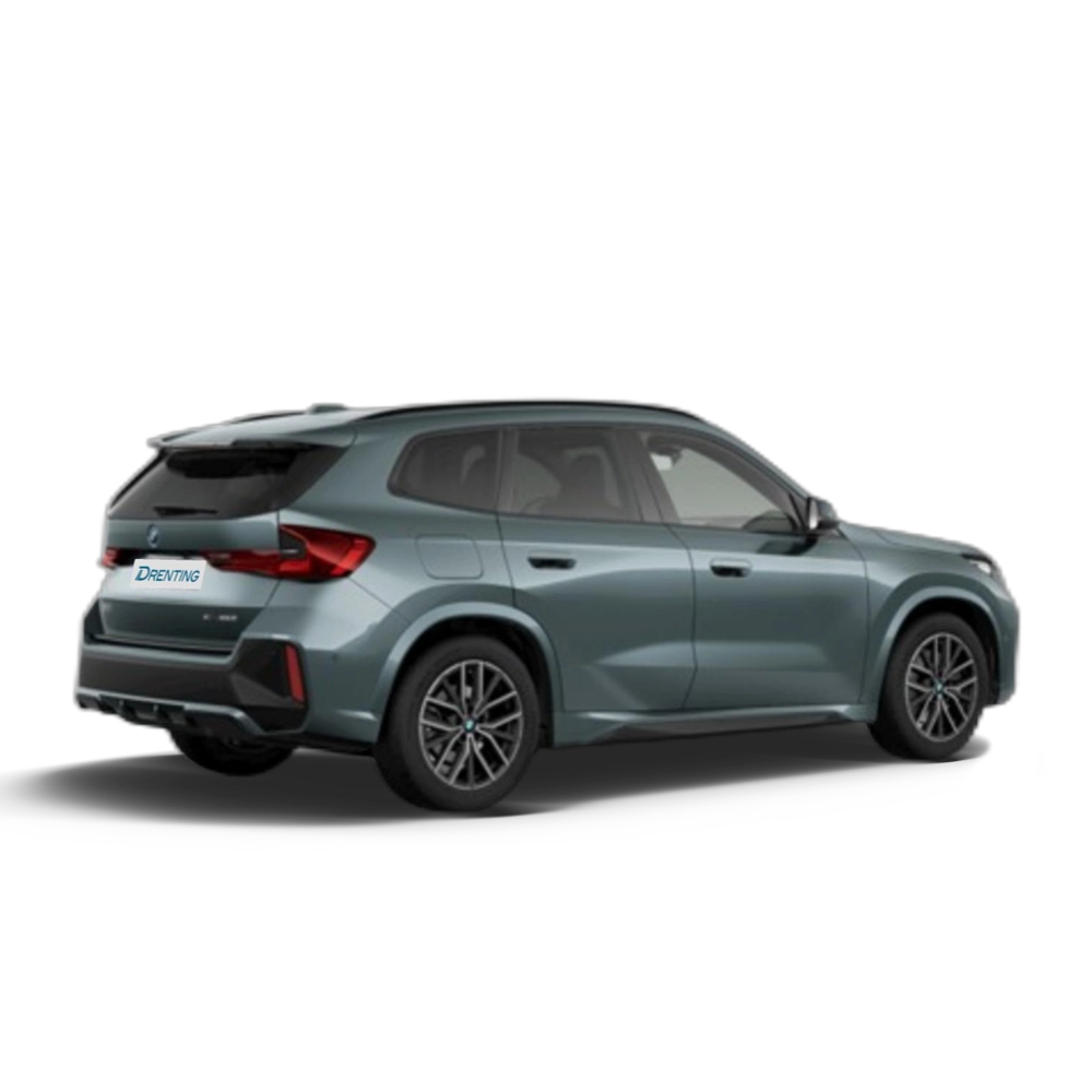 Renting BMW X1 xDrive25e 180 kW (245 CV) 10