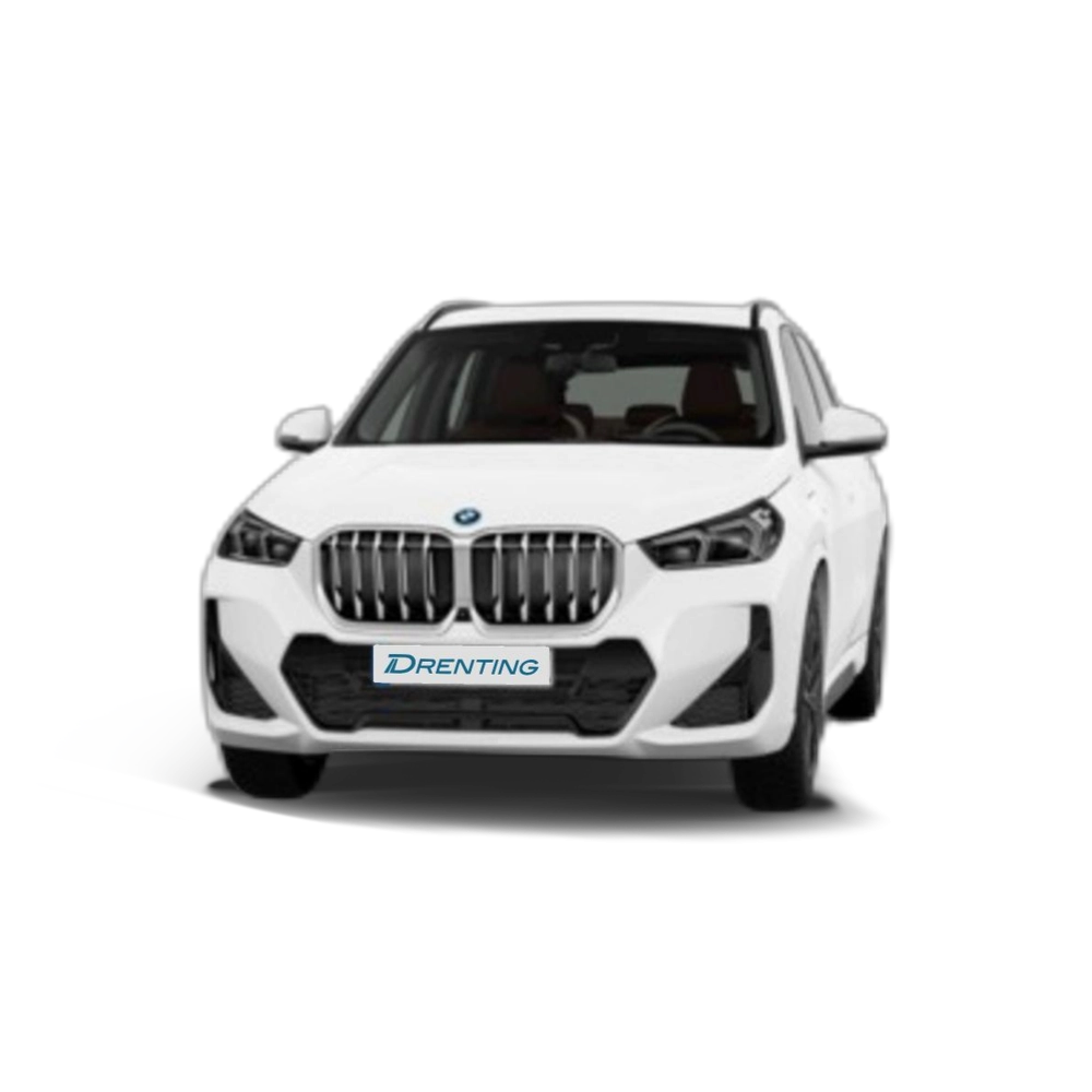Renting BMW X1 xDrive25e 180 kW (245 CV) 10 19