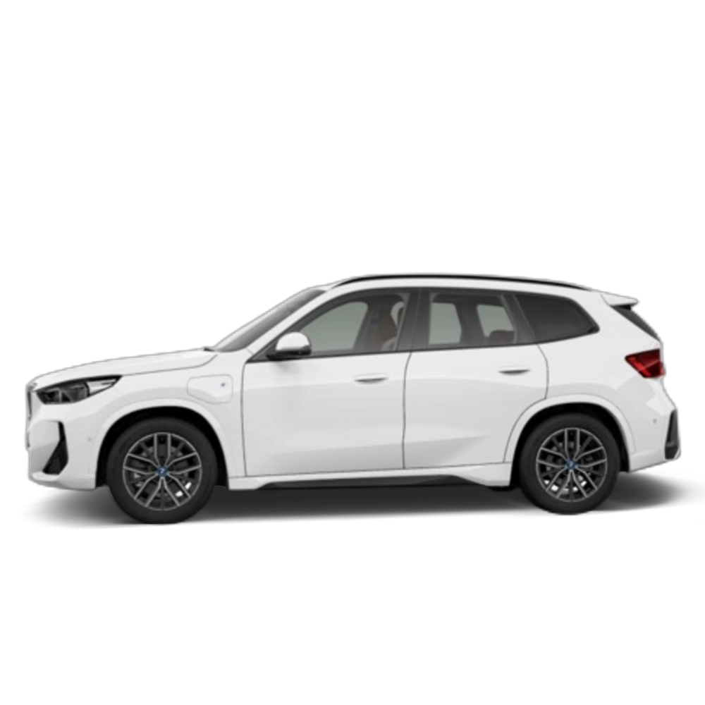 Renting BMW X1 xDrive25e 180 kW (245 CV) 10 19