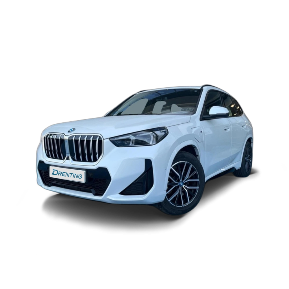 BMW X1 xDrive25e 180 kW (245 CV) 10 21
