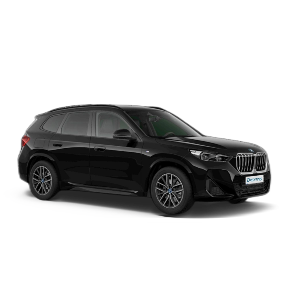 Renting BMW X1 xDrive25e 180 kW (245 CV) 11