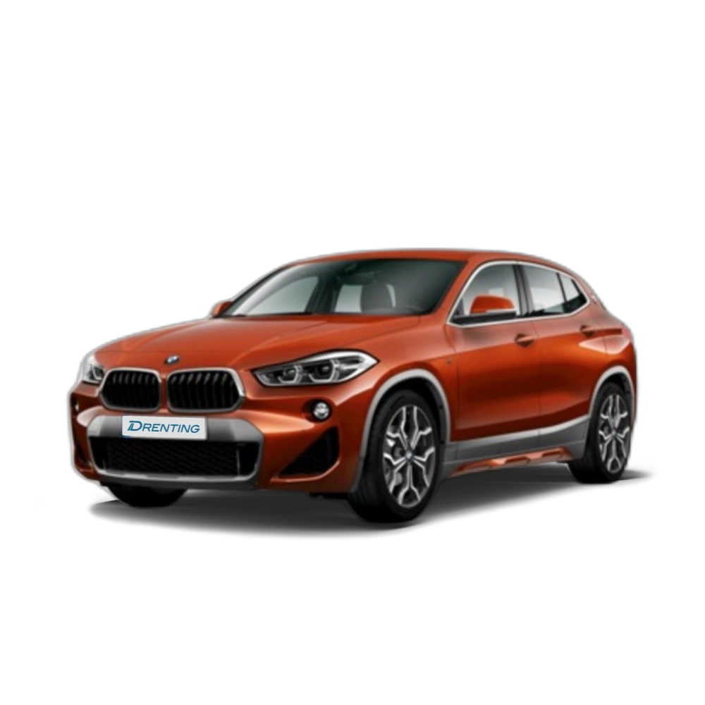 BMW X2 sDrive18d 110 kW (150 CV) 17