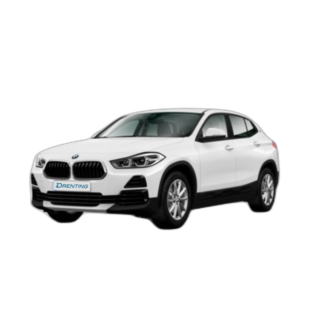 BMW X2 sDrive18d Business 110 kW (150 CV) 15