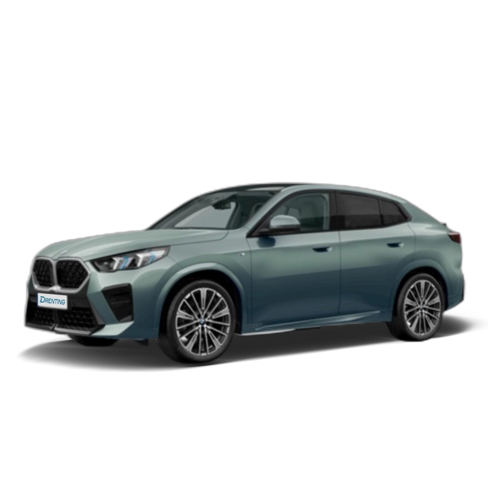Renting BMW X2 sDrive20d 120 kW (163 CV) 1 10