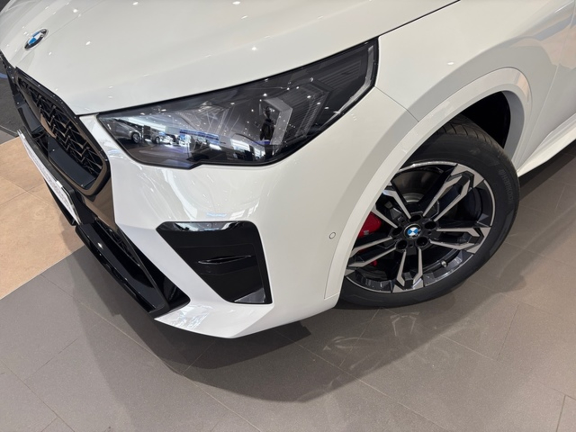 Renting BMW X2 xDrive20d 120 kW (163 CV) 12