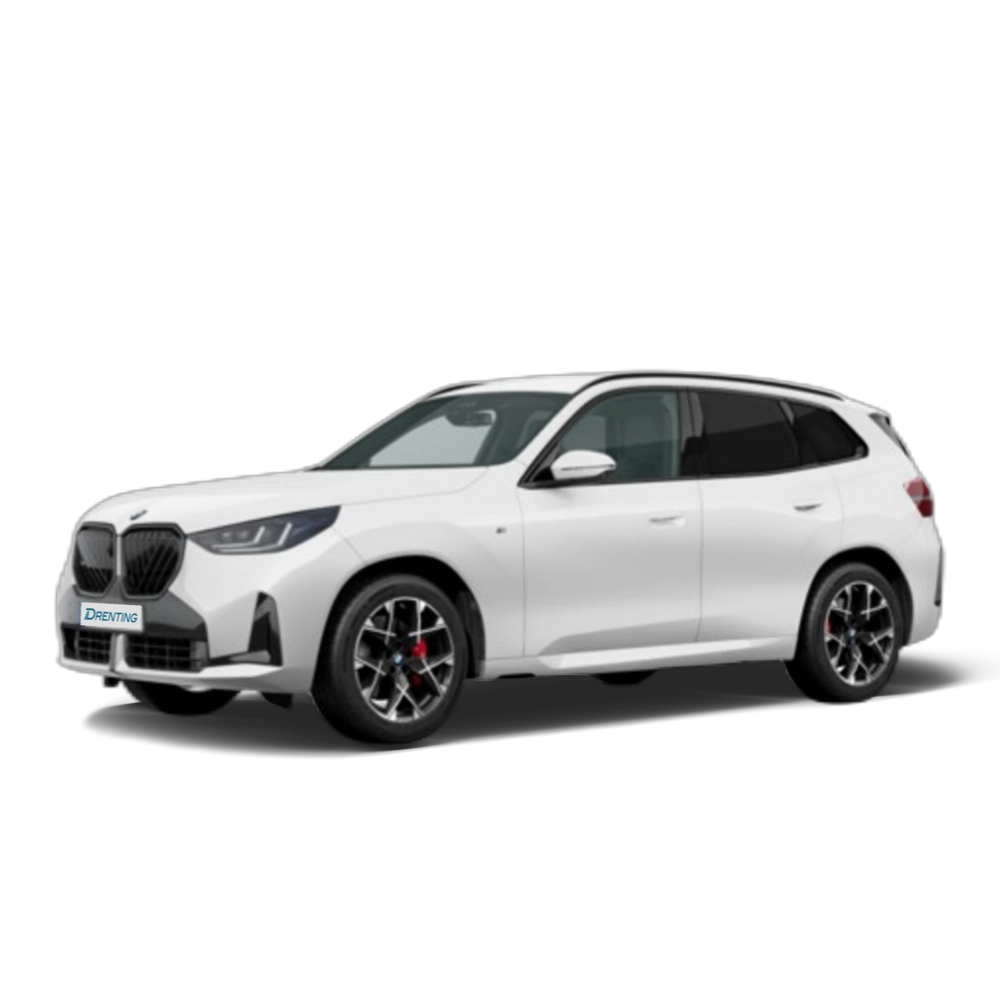 Renting BMW X3 xDrive20d 145 kW (197 CV) 10
