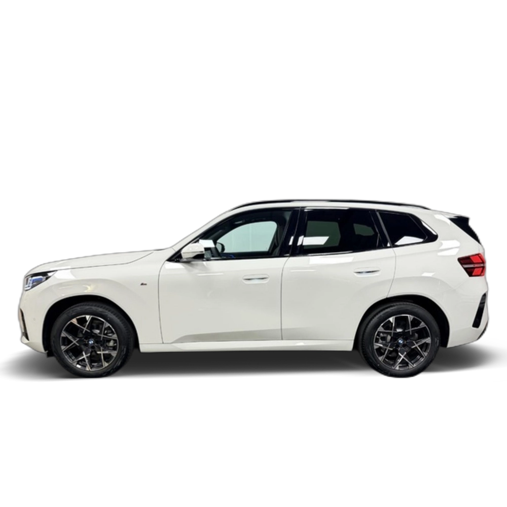 Renting BMW X3 xDrive20d 145 kW (197 CV) 19 12