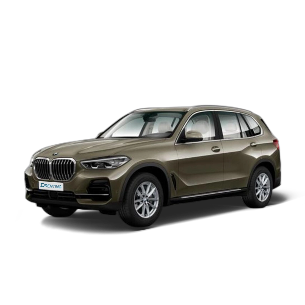 Renting BMW X5 xDrive25d 170 kW (231 CV)