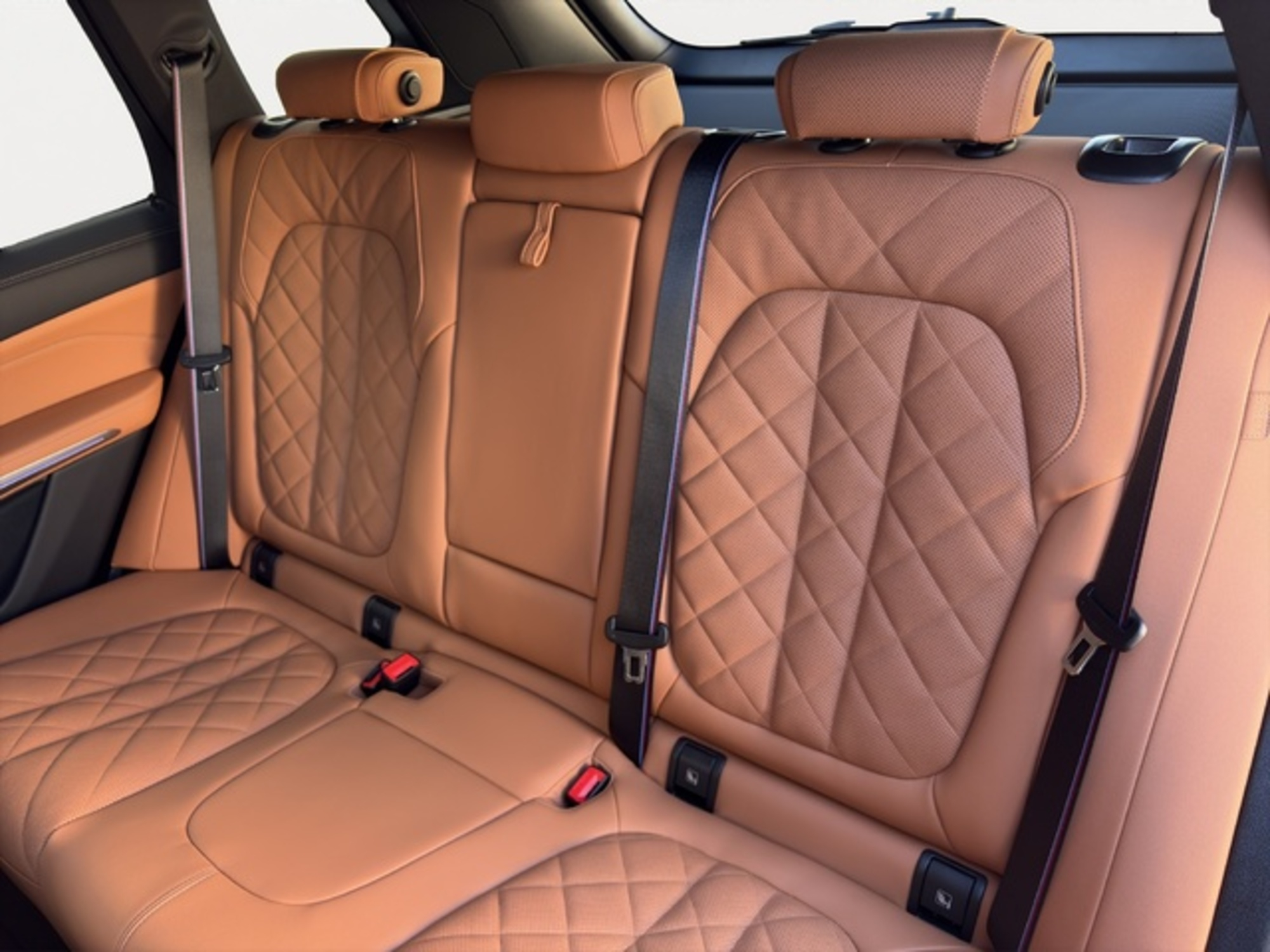 Renting BMW X5 xDrive30d xLine 219 kW (298 CV) 7