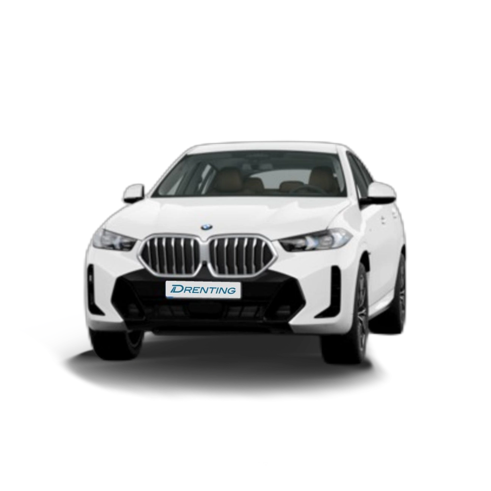 Renting BMW X6 xDrive30d M Sport 210 kW (286 CV) 13