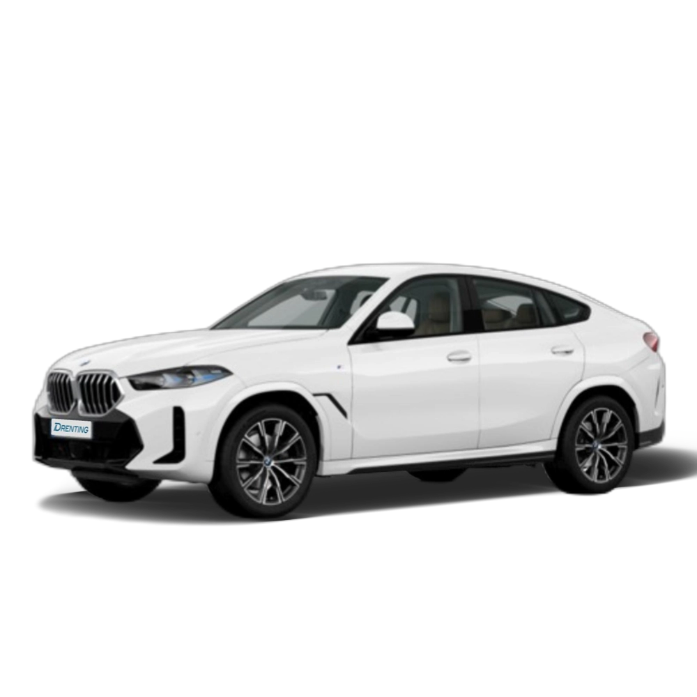 Renting BMW X6 xDrive30d M Sport 210 kW (286 CV) 13