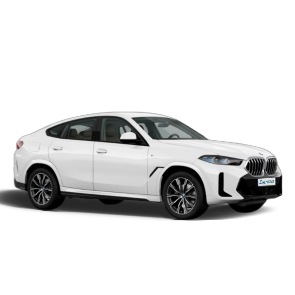 Renting BMW X6 xDrive30d M Sport 210 kW (286 CV) 13