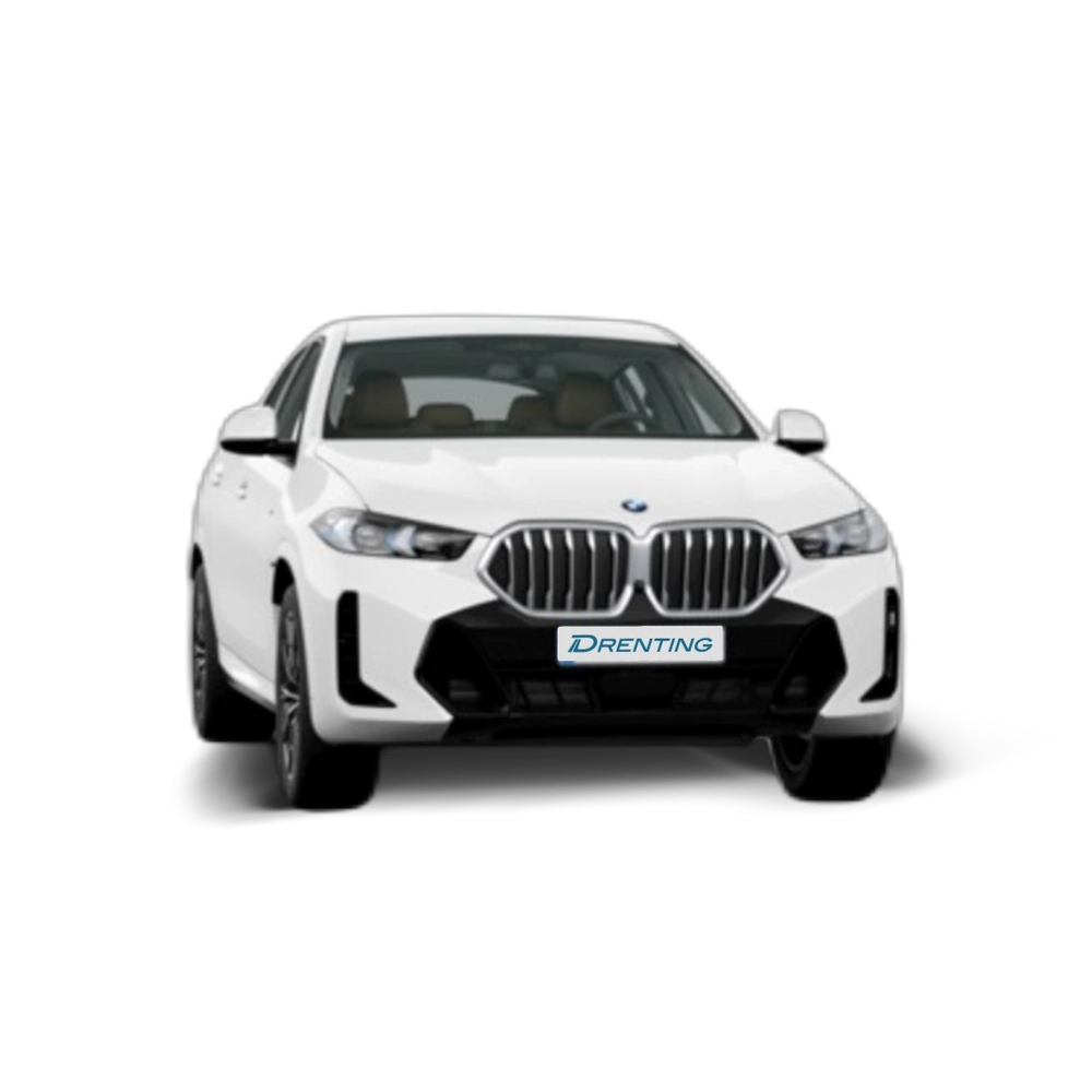 Renting BMW X6 xDrive30d M Sport 210 kW (286 CV) 13