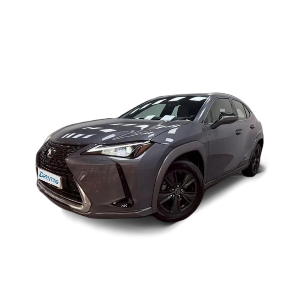 Lexus UX 250h Business Navigation 4WD Gris
