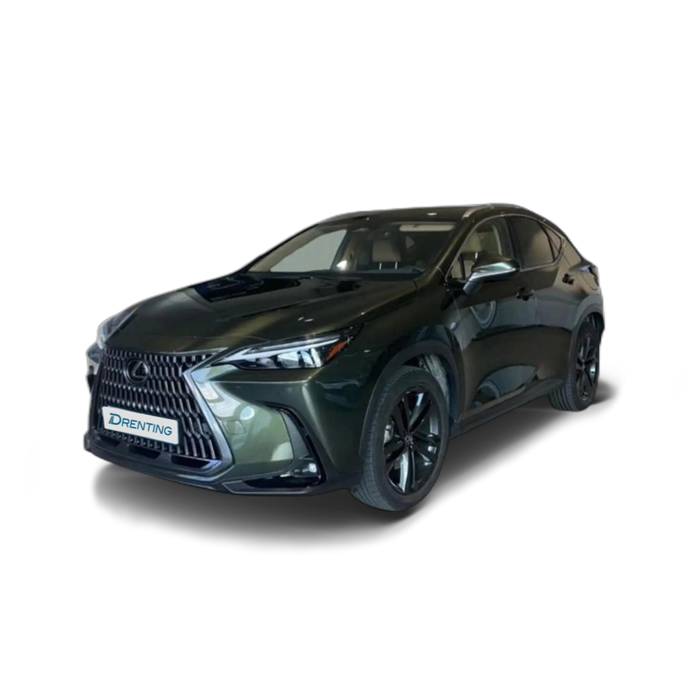 Lexus NX 200t EXECUTIVE PLUS Verde 1