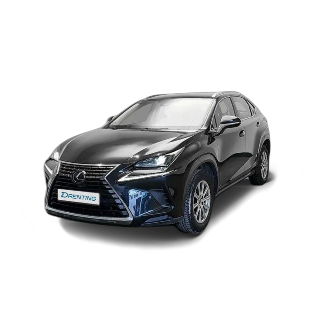 LEXUS NX 300h Business Navigation 2WD