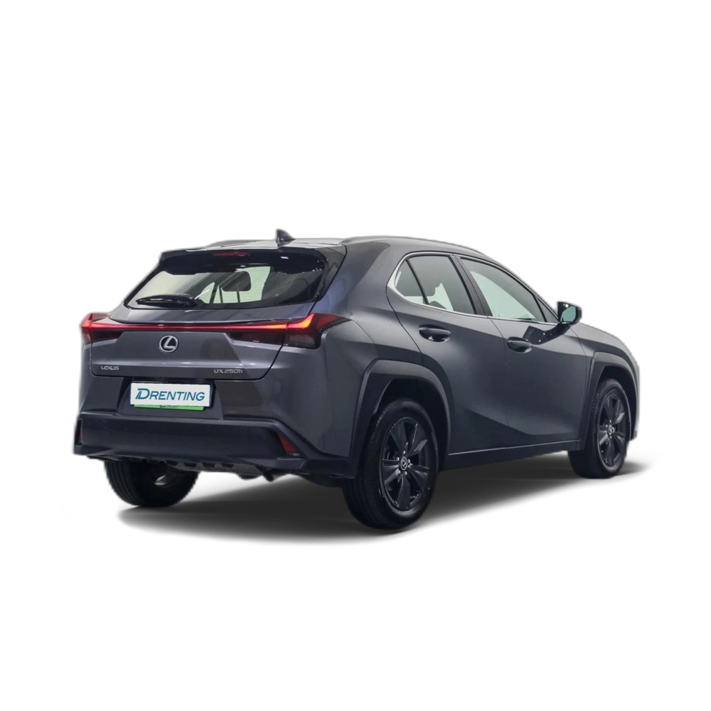 Renting LEXUS UX 250h Business 2WD