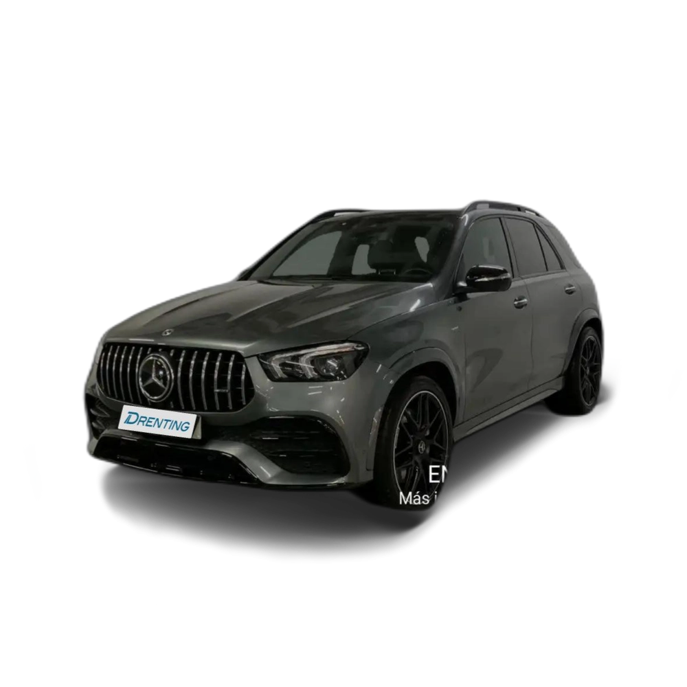 Mercedes-Benz GLE 53 AMG Mercedes-AMG 4MATIC+ Gris