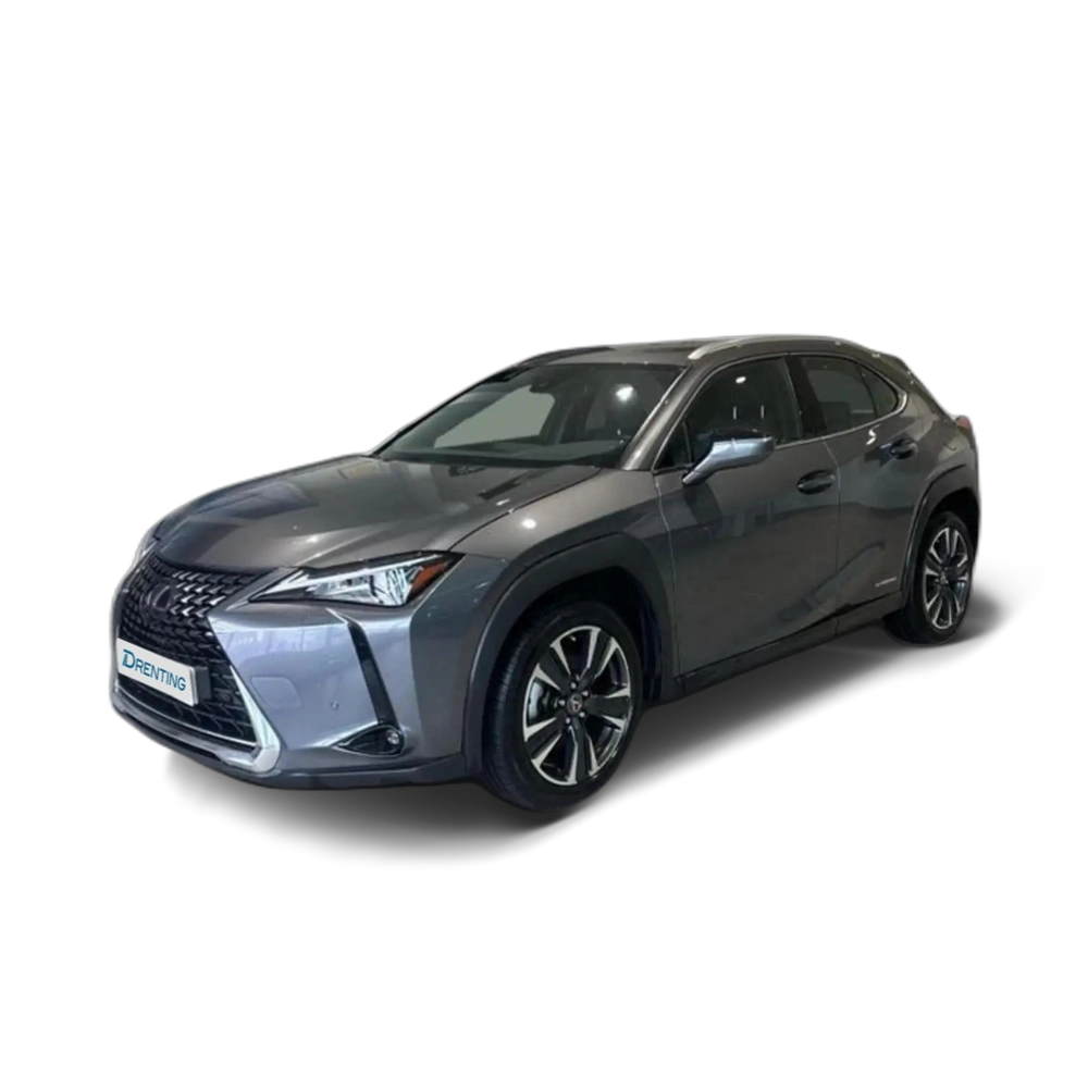 Lexus UX 250h PREMIUM 2WD Automático Híbrido (gasolina) 184 cv Gris 1
