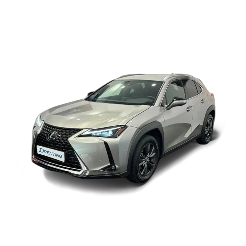 Lexus UX 250h Premium 4WD Gris