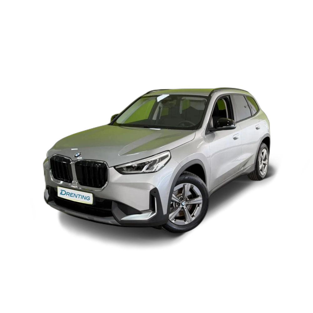 BMW X1 sDrive 20iA Gris 1