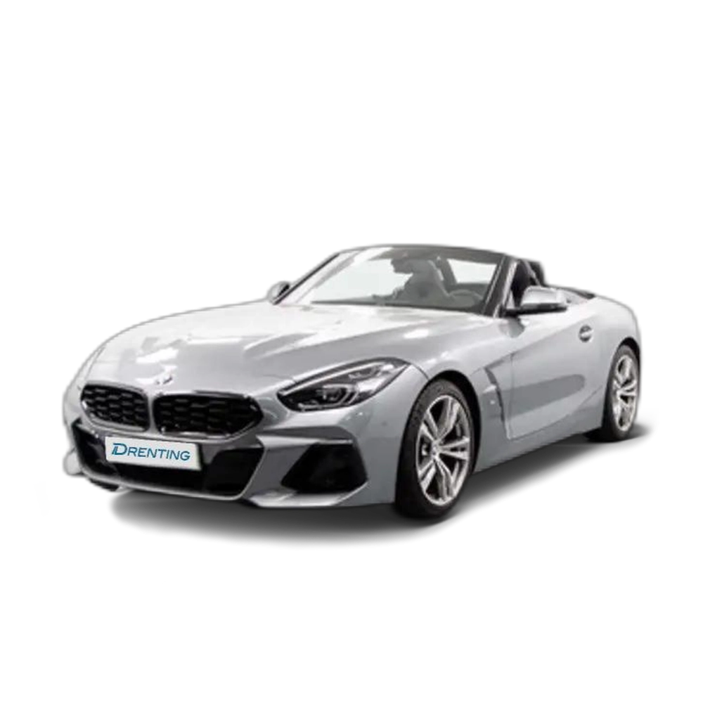 BMW Z4 sDrive 20iA Gris