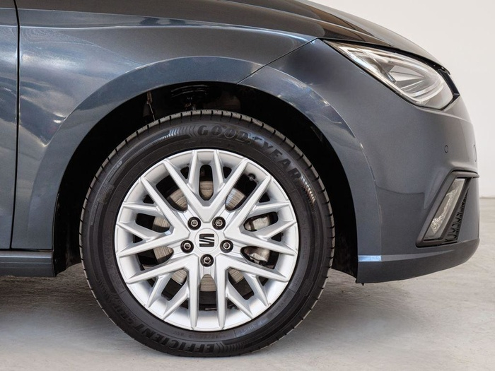 Renting SEAT Ibiza 1.0 TSI Special Edition 81 kW (110 CV) Ocasión