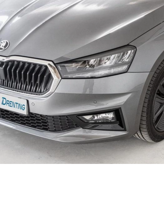 Renting Skoda Fabia 1.0 TSI Selection DSG 85 kW (115 CV) Ocasión 1