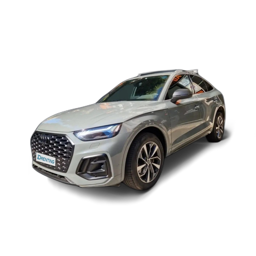 Audi Q5 Sportback 40 TDI quattro-ultra S line S tronic 150 Gris
