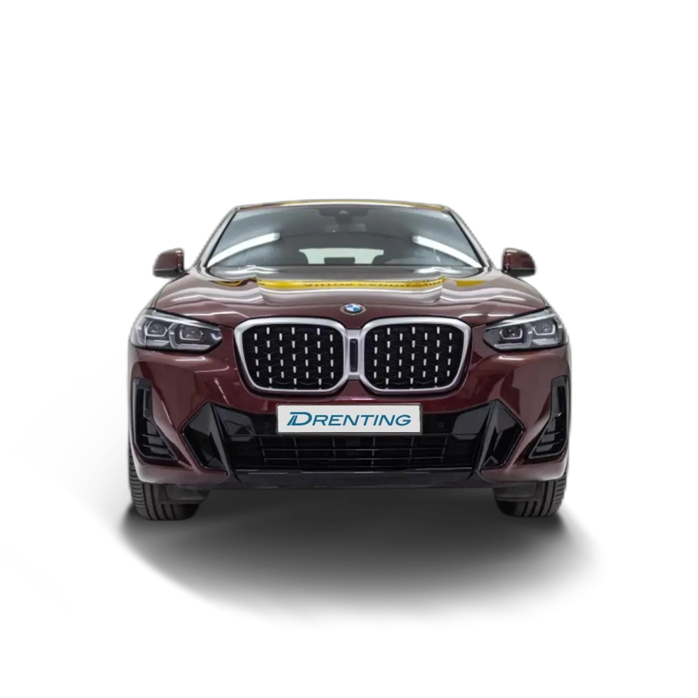 BMW X4 xDrive 20dA xLine M Sport Burdeos