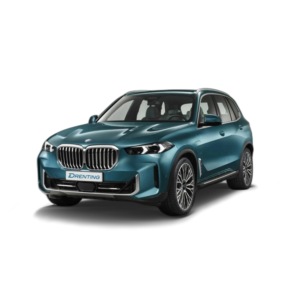 Renting BMW X5 xDrive 30dA Negro 2